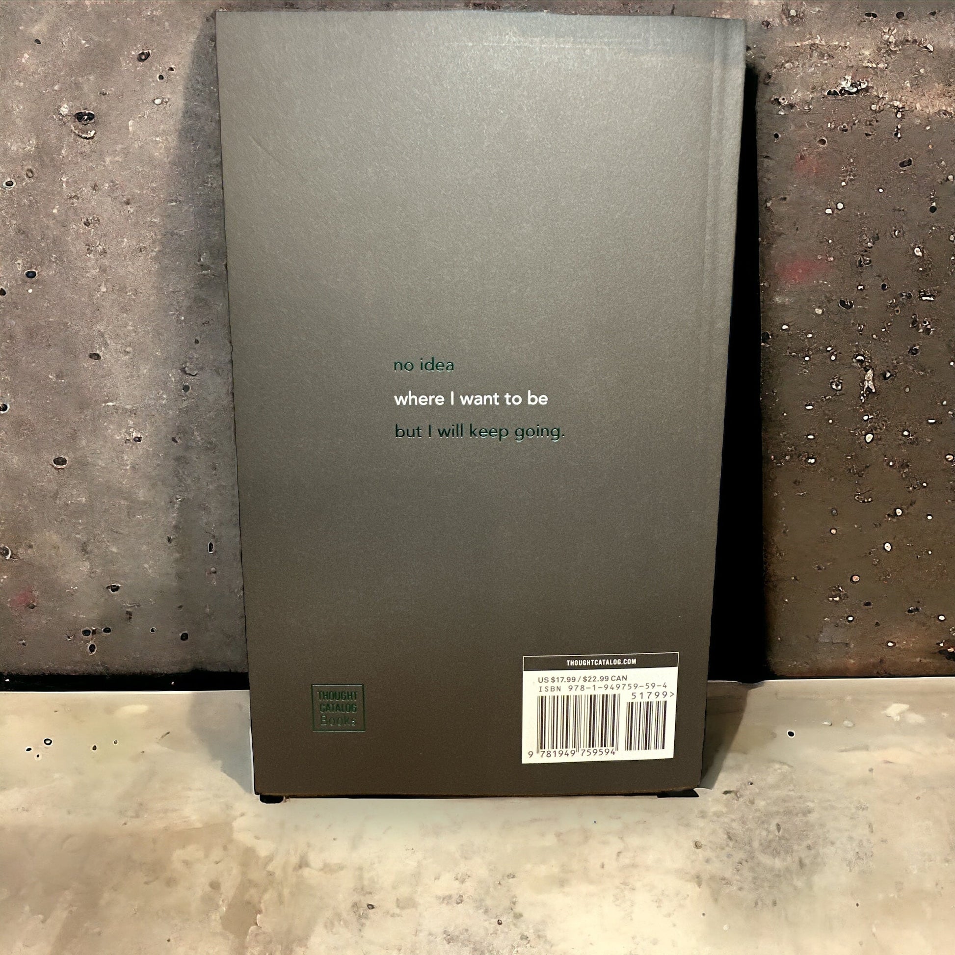 "No Idea What I'm Doing But F*** It" Book - Wander Together Outfitters