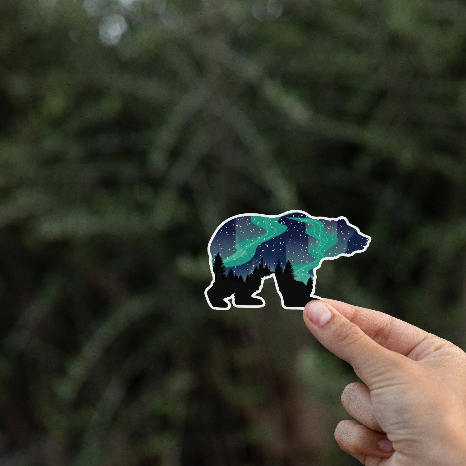Northern Lights Grizzly Bear Sticker - Wander Together Outfitters