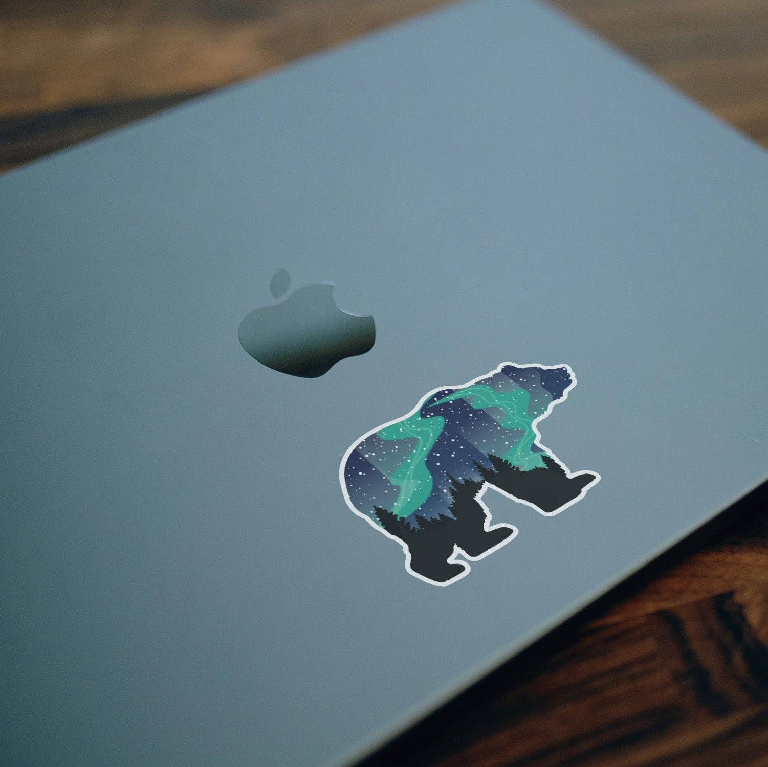 Northern Lights Grizzly Bear Sticker - Wander Together Outfitters
