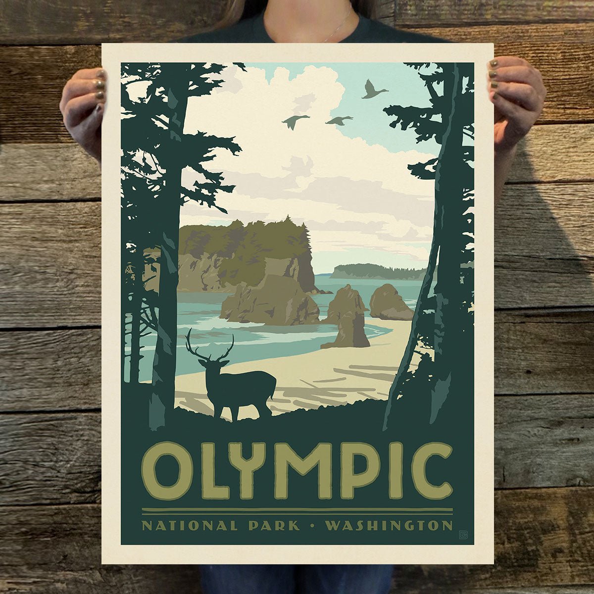 Olympic National Park (63 National Parks) Art Print - Wander Together Outfitters