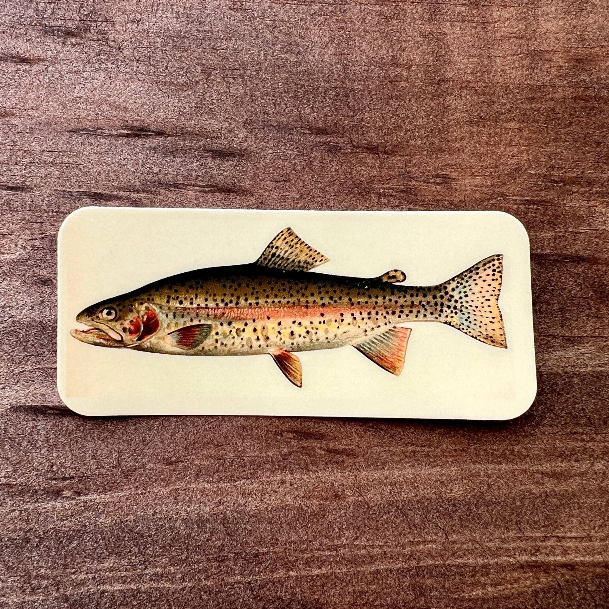 Rainbow Trout Sticker - Wander Together Outfitters