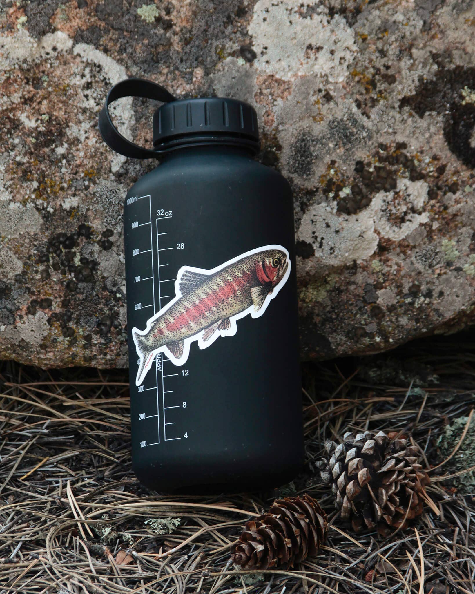 Rainbow Trout Sticker - Wander Together Outfitters