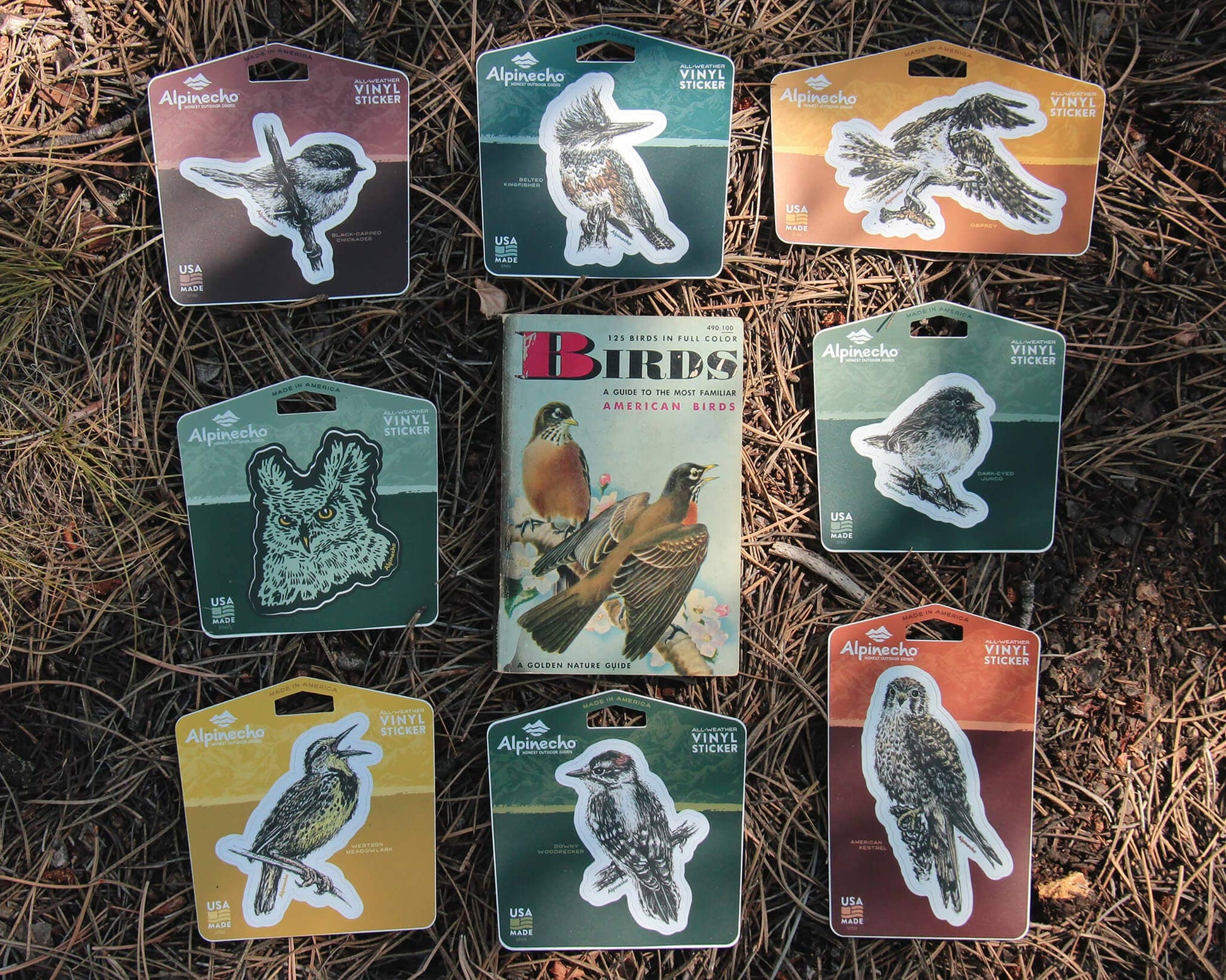 Rainbow Trout Sticker - Wander Together Outfitters