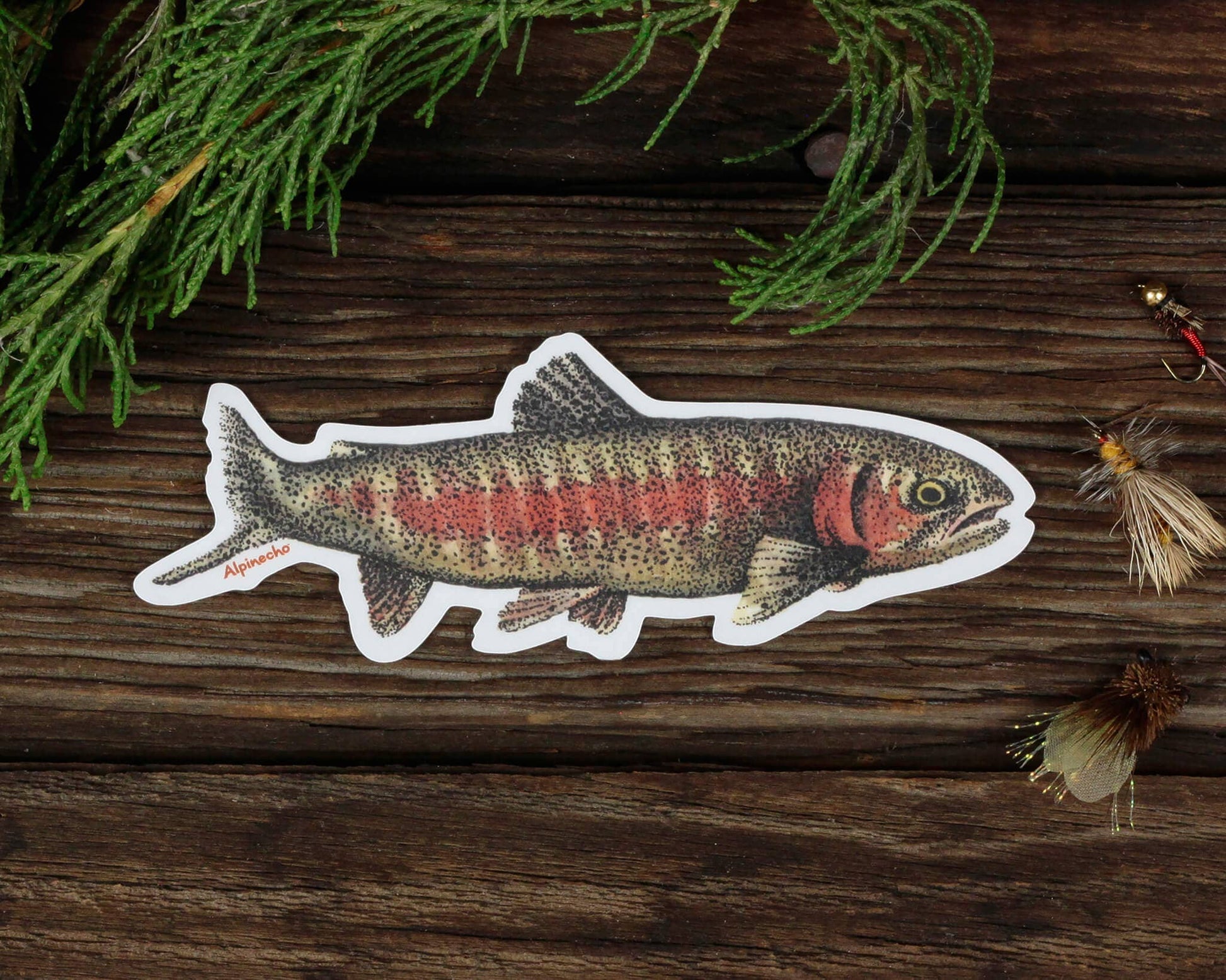 Rainbow Trout Sticker - Wander Together Outfitters