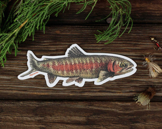 Rainbow Trout Sticker - Wander Together Outfitters