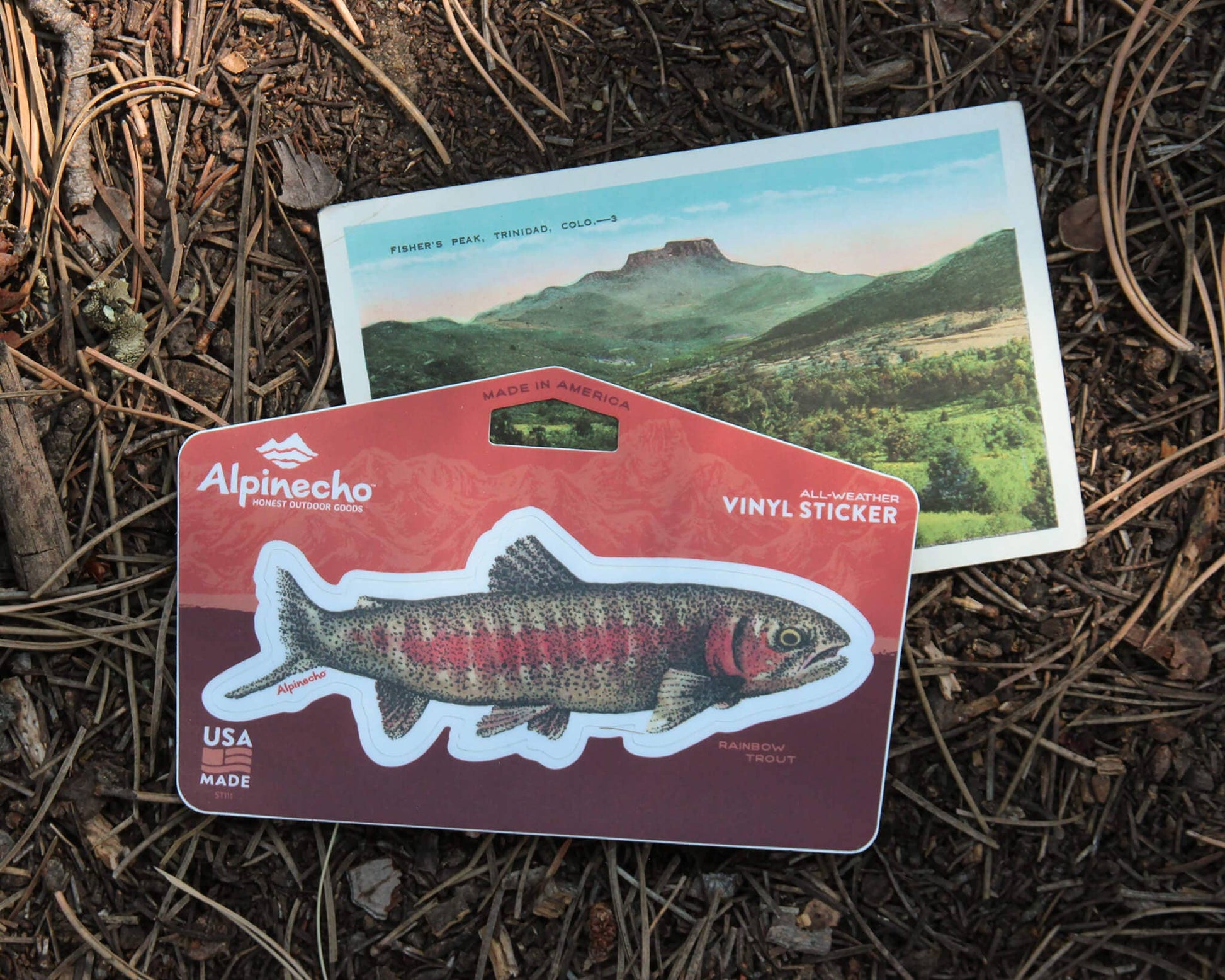 Rainbow Trout Sticker - Wander Together Outfitters