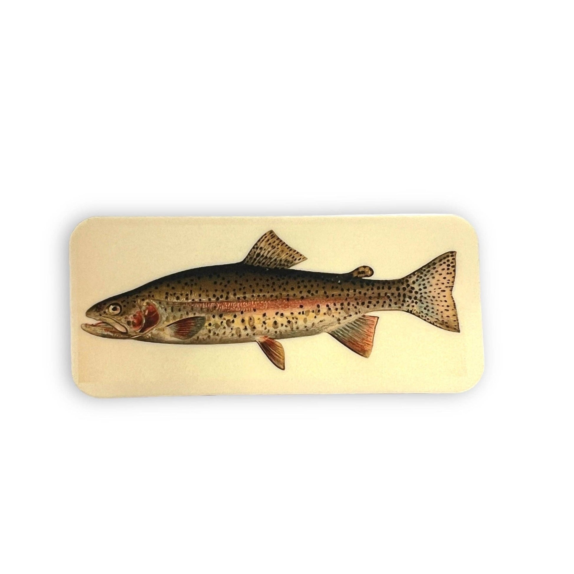 Rainbow Trout Sticker - Wander Together Outfitters