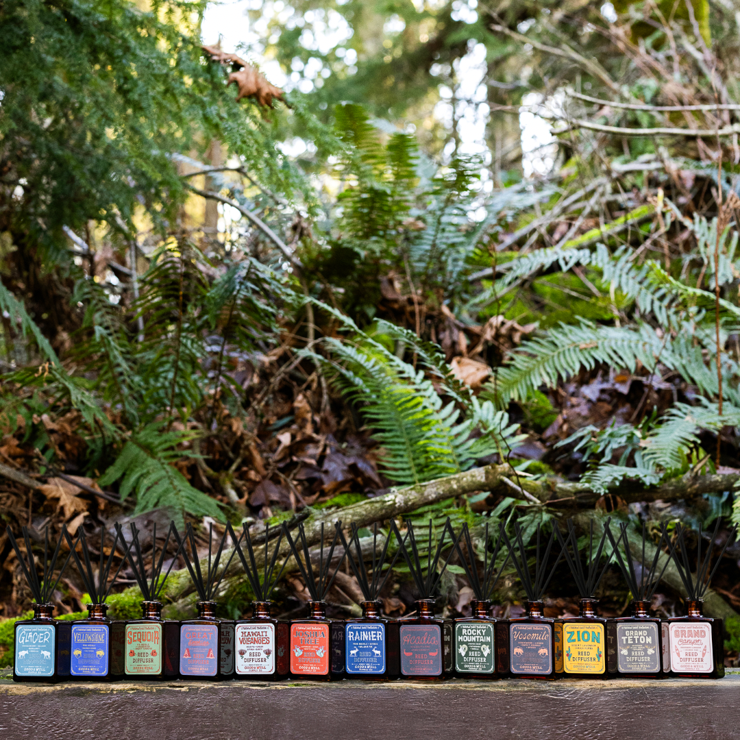 Rainier National Park Reed Diffuser - Wander Together Outfitters
