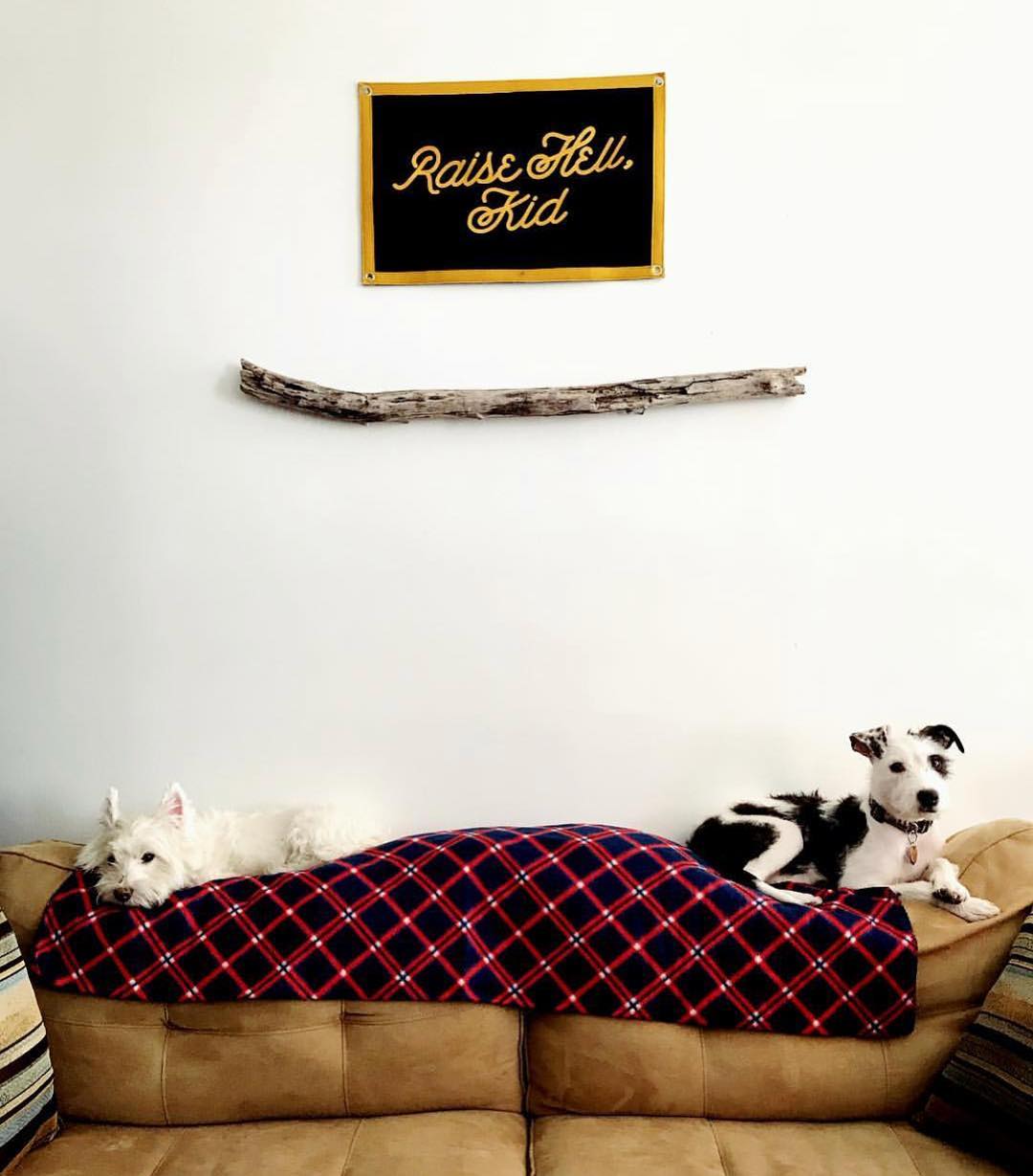 Raise Hell, Kid Camp Flag - Wander Together Outfitters