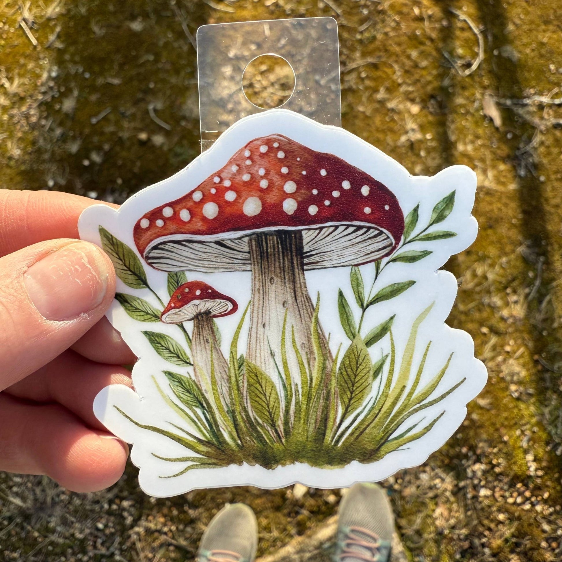 Red Mushroom 3" Vinyl Sticker - Wander Together Outfitters