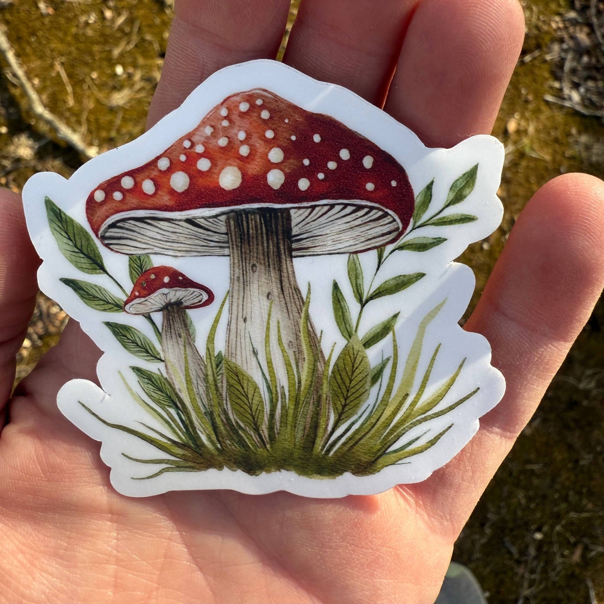Red Mushroom 3" Vinyl Sticker - Wander Together Outfitters