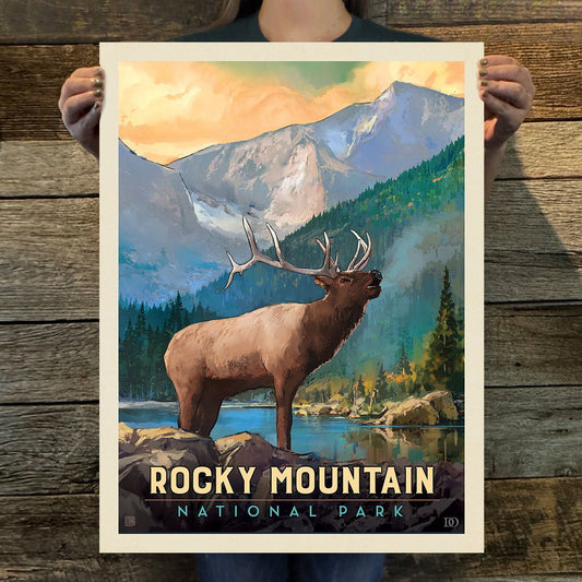 Rocky Mountains National Park: Bull Elk Art Print - Wander Together Outfitters