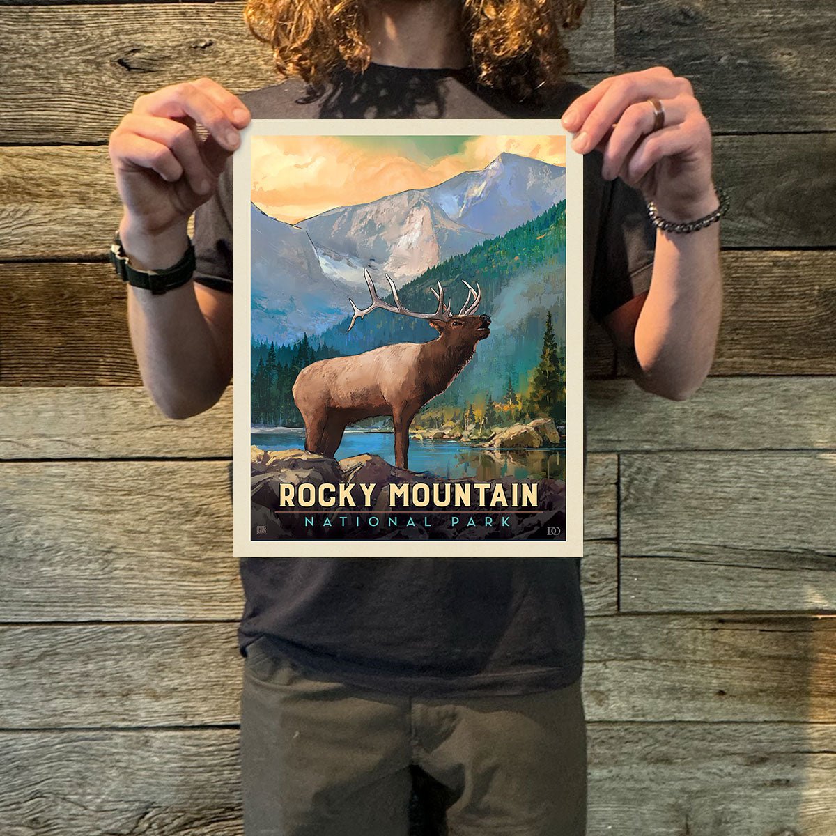Rocky Mountains National Park: Bull Elk Art Print - Wander Together Outfitters