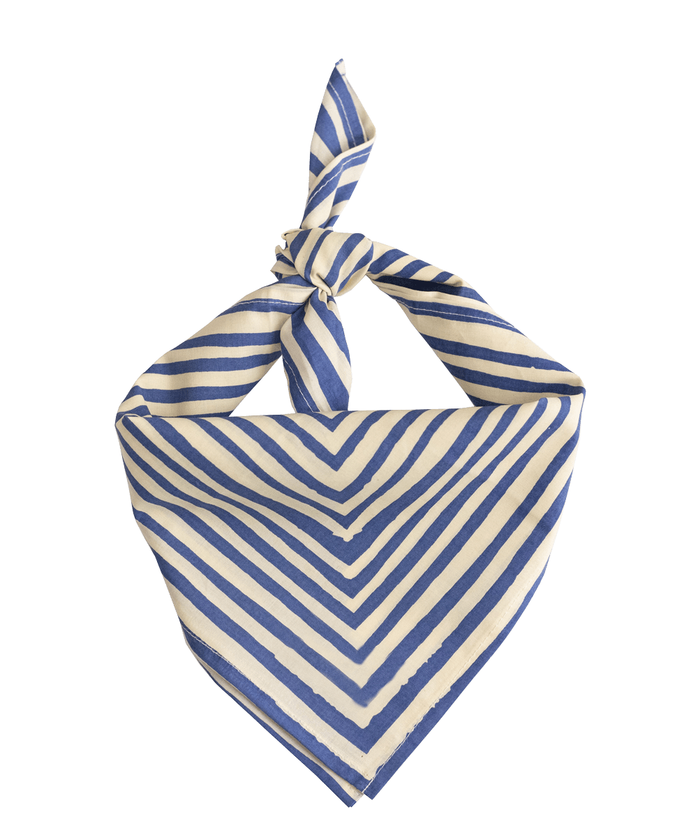 Sammie Bandana (Blue and Cream) - Wander Together Outfitters