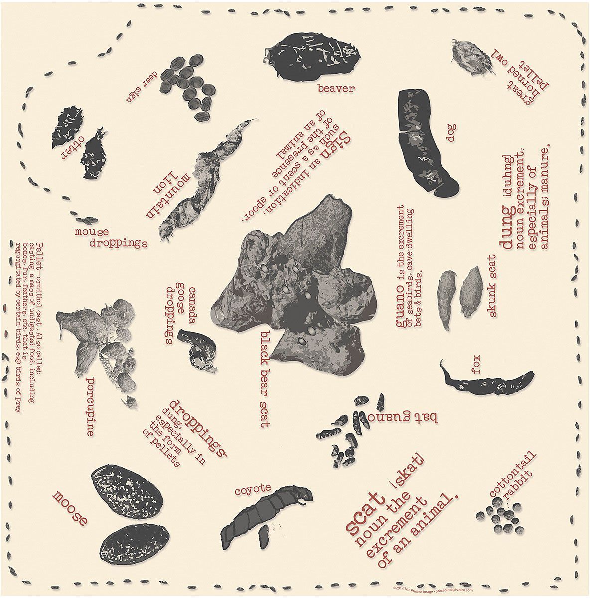 Scat Print Identificatiion Bandana - Wander Together Outfitters
