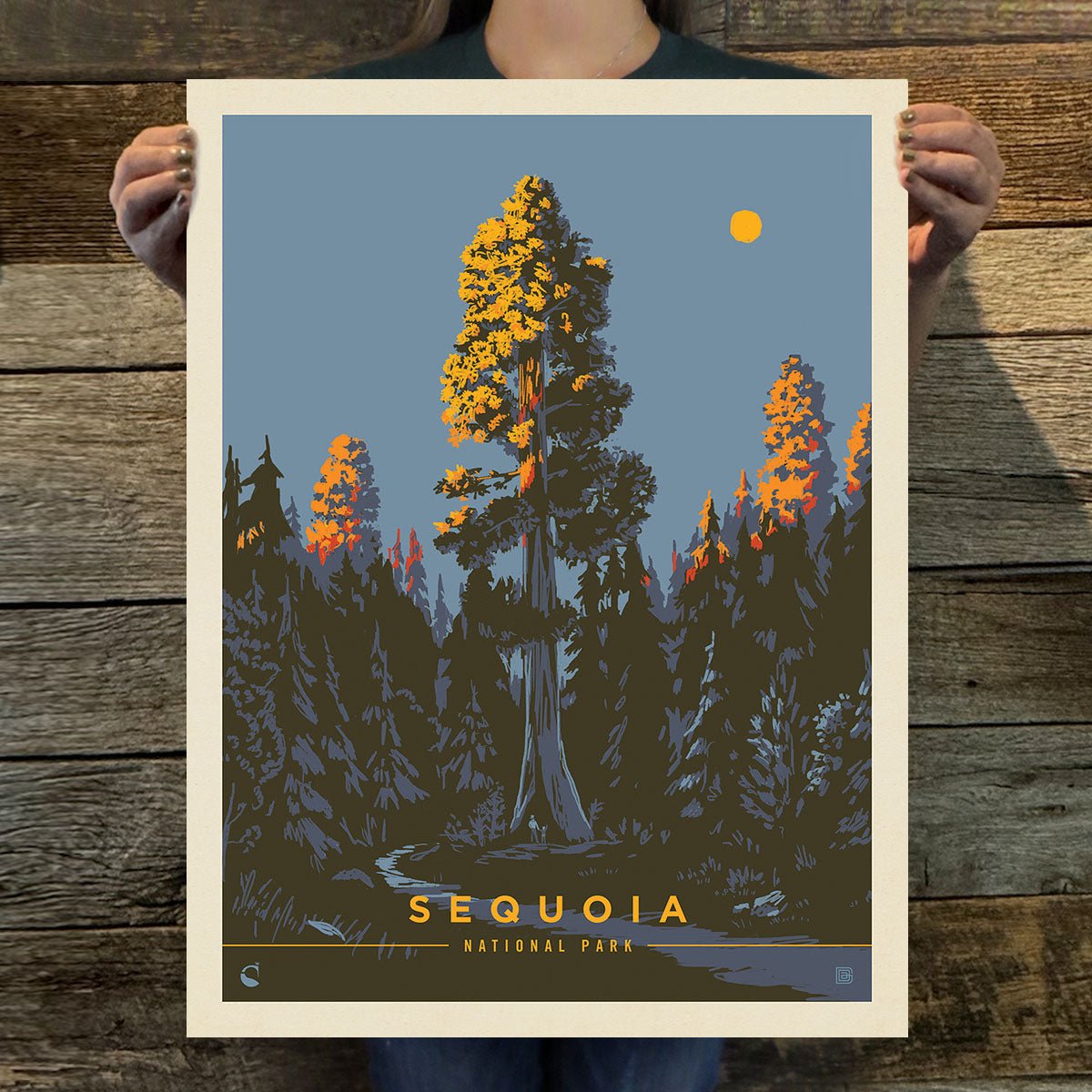 Sequoia National Park: Morning Glow Art Print - Wander Together Outfitters