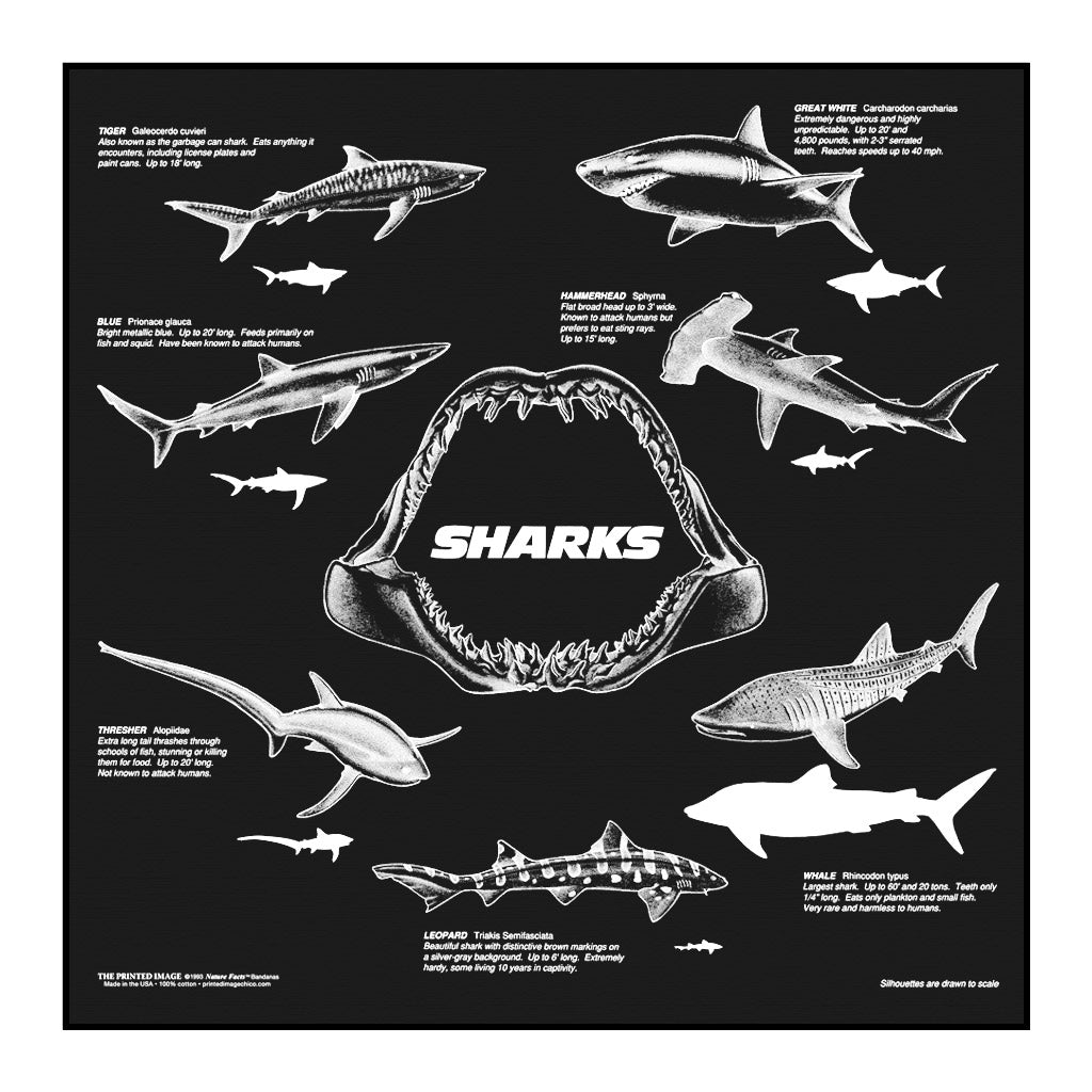 Sharks Bandana - Wander Together Outfitters