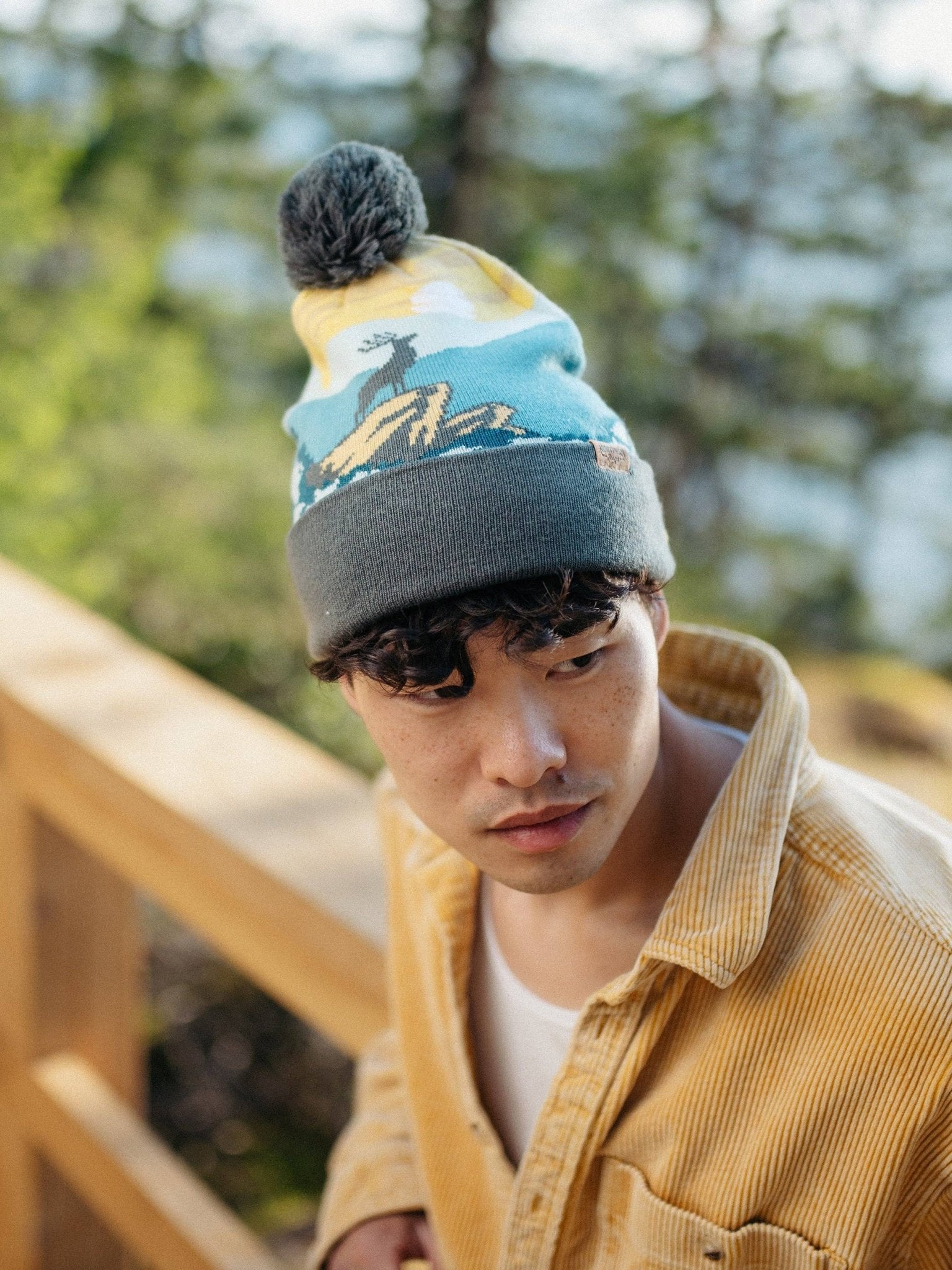 Shenandoah National Park PomPom Beanie - Wander Together Outfitters
