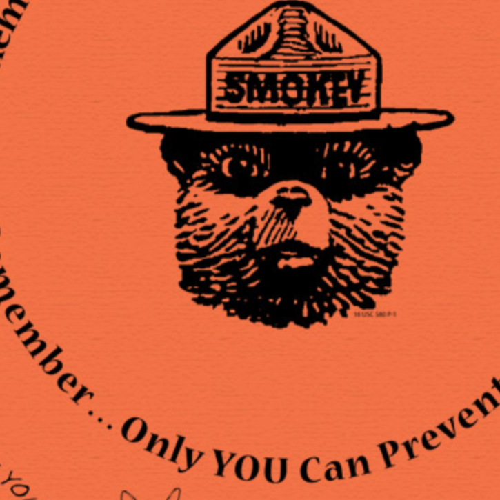 Smokey Bear Wildfire Prevention Oversized Bandana (Orange) - Wander Together Outfitters