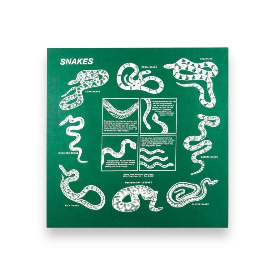 Snakes Identification Printed Image Bandanna - Wander Together Outfitters