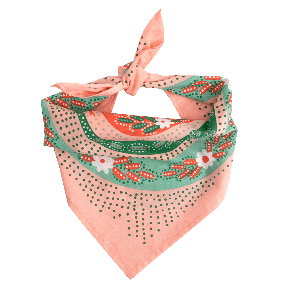 Snakes Pink Bandana - Wander Together Outfitters