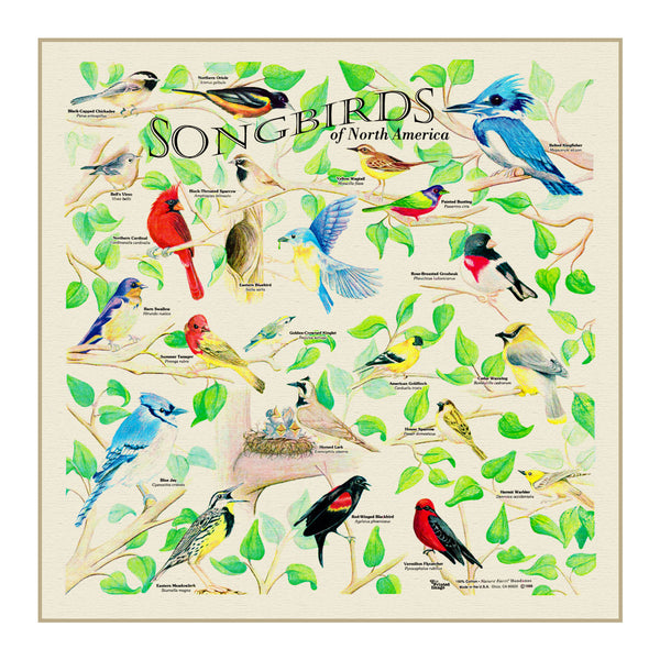 Songbirds of North America Bandana