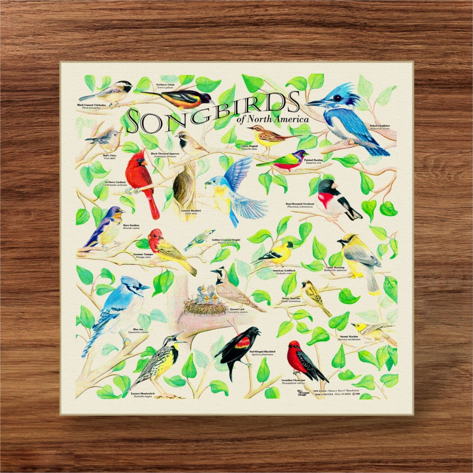 Songbirds of North America Bandana - Wander Together Outfitters