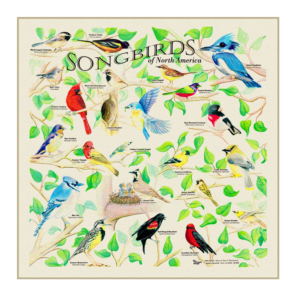 Songbirds of North America Bandana - Wander Together Outfitters