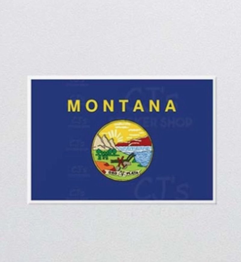 State Flags Vinyl Sticker - Choose Your Favorite! - Wander Together Outfitters