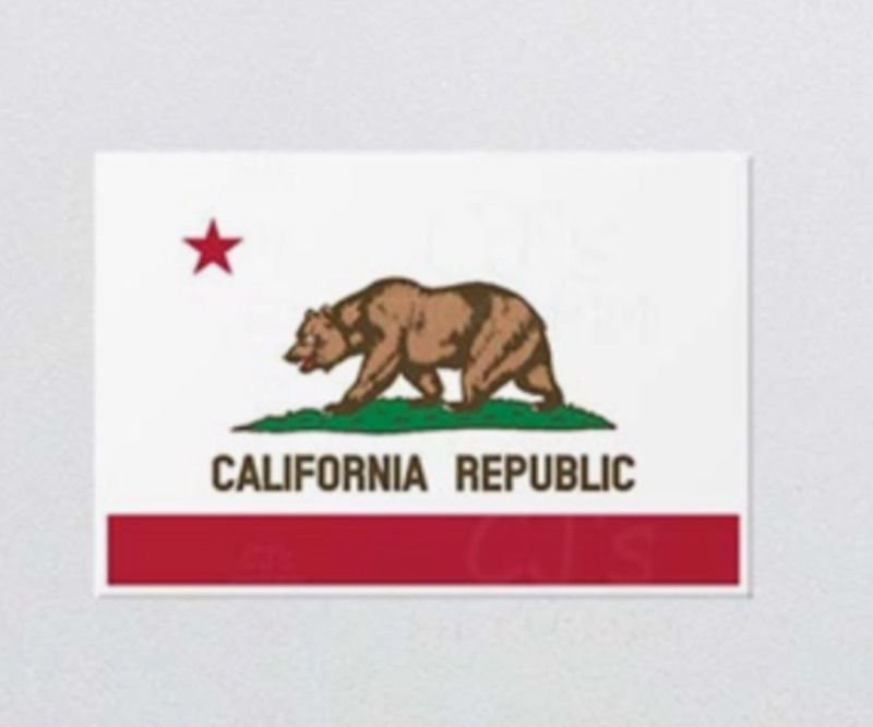 State Flags Vinyl Sticker - Choose Your Favorite! - Wander Together Outfitters