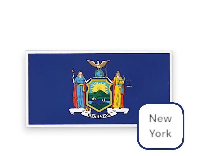 State Flags Vinyl Sticker - Choose Your Favorite! - Wander Together Outfitters