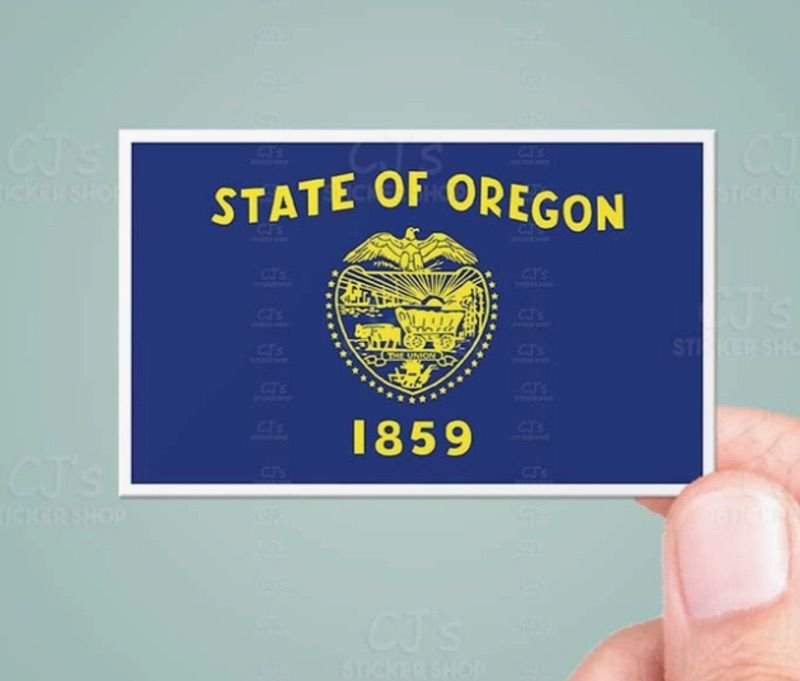State Flags Vinyl Sticker - Choose Your Favorite! - Wander Together Outfitters