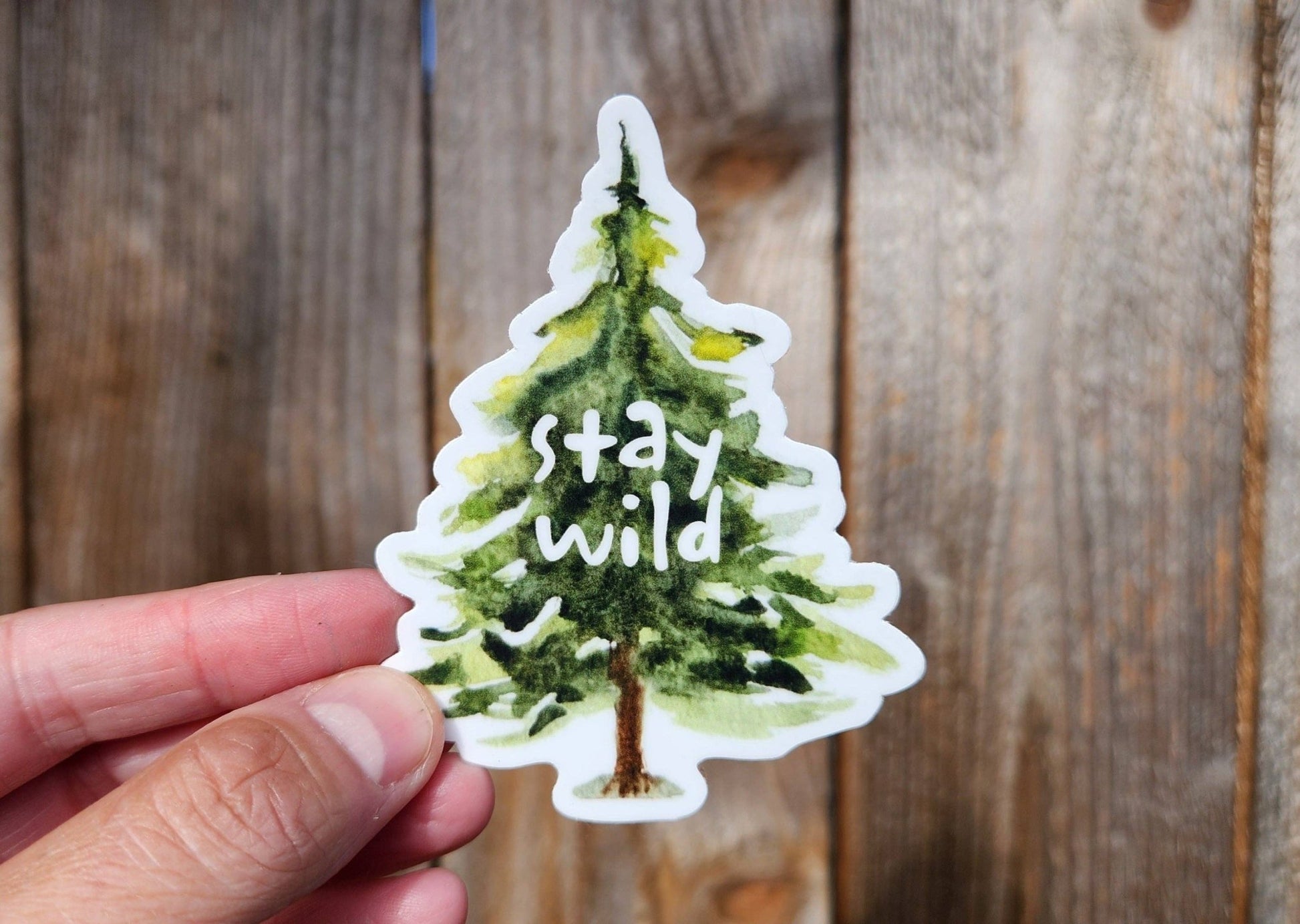 “Stay Wild” Tree Watercolor Vinyl Sticker - Wander Together Outfitters