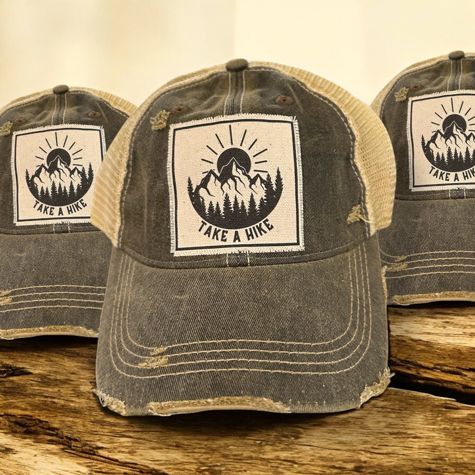 “Take A Hike” Distressed Unisex Mesh Cap - Wander Together Outfitters