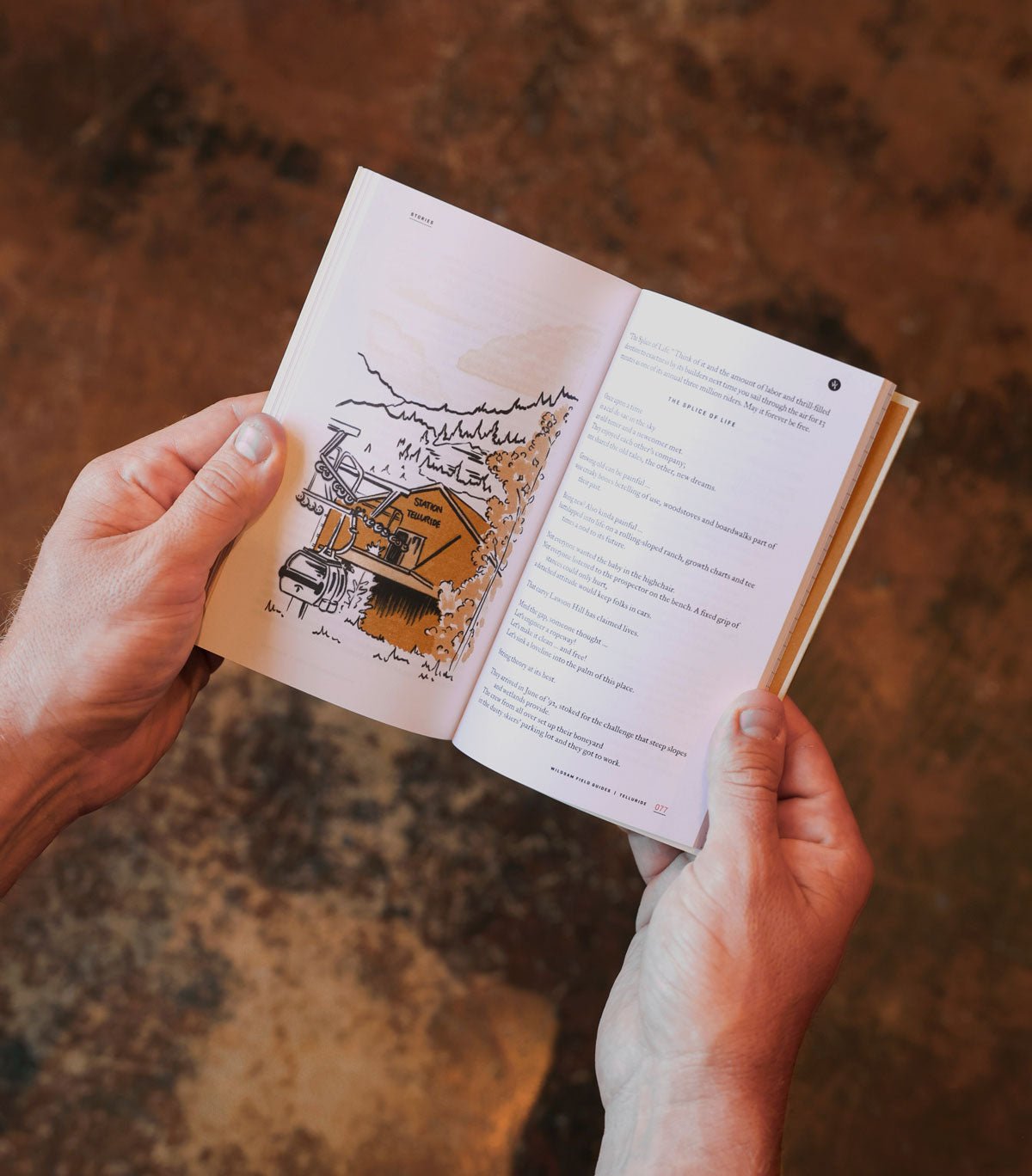 Telluride Colorado Field Guide - Wander Together Outfitters