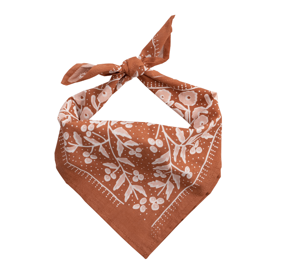 Terra Bandana - Wander Together Outfitters