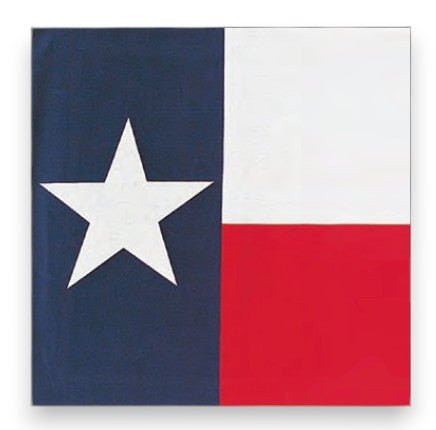 Texas State Flag Bandana - Wander Together Outfitters