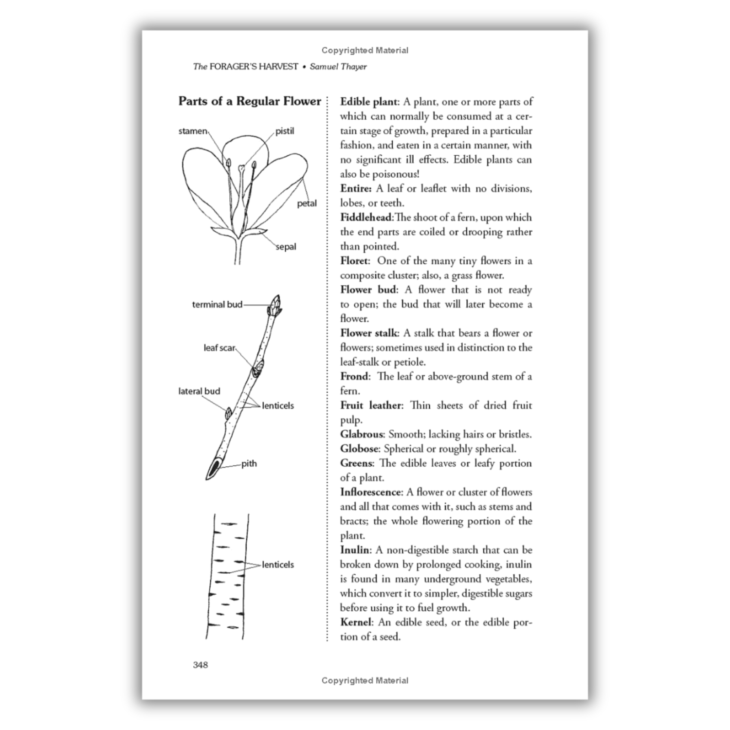 The Forager's Harvest: A Guide to Identifying, Harvesting, and Preparing Edible Wild Plants (Spiral Bound) - Wander Together Outfitters