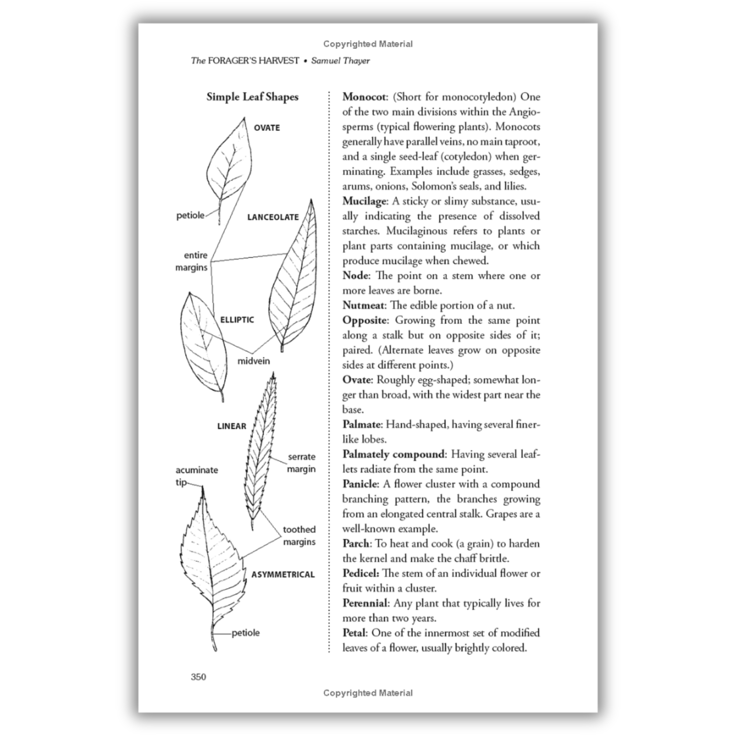 The Forager's Harvest: A Guide to Identifying, Harvesting, and Preparing Edible Wild Plants (Spiral Bound) - Wander Together Outfitters
