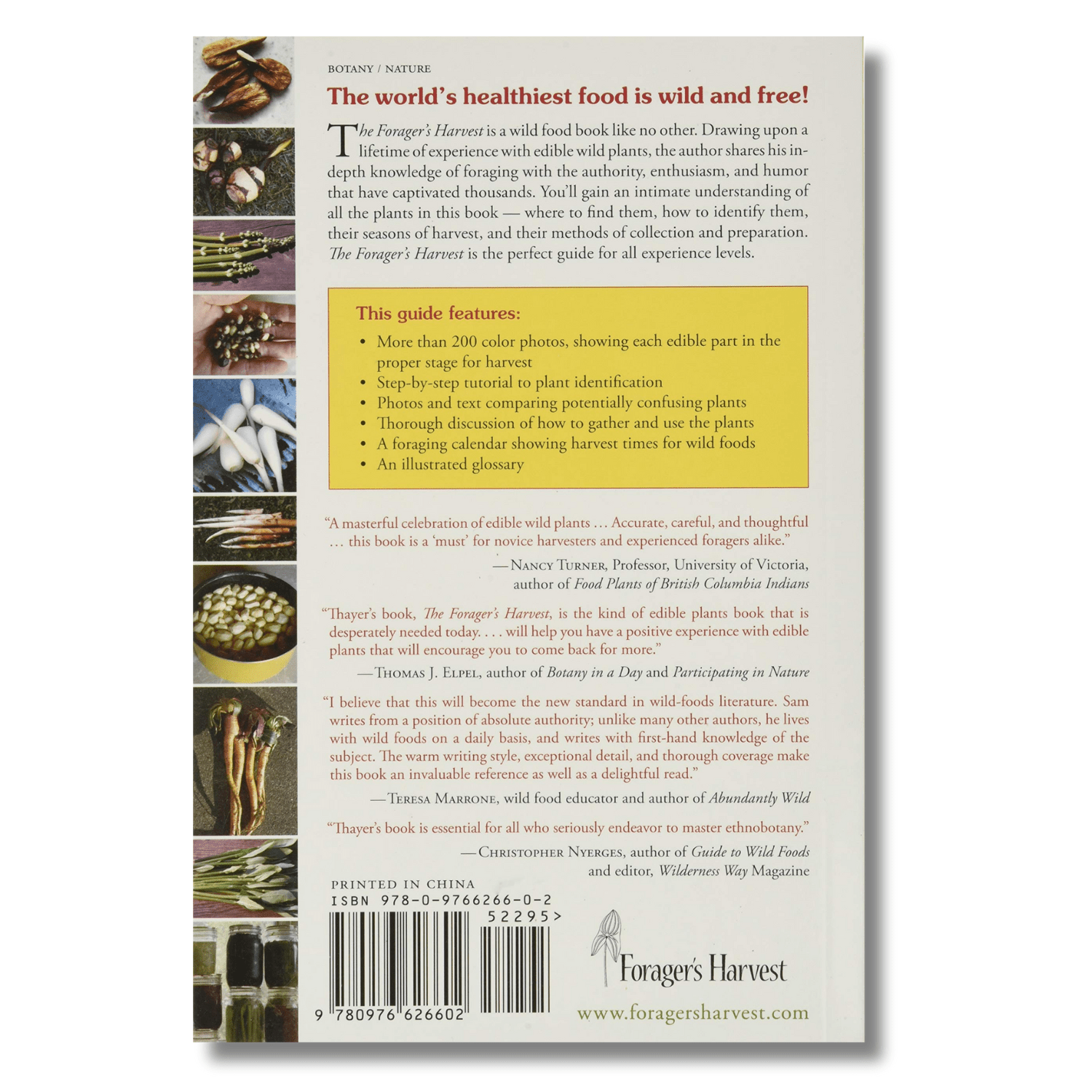 The Forager's Harvest: A Guide to Identifying, Harvesting, and Preparing Edible Wild Plants (Spiral Bound) - Wander Together Outfitters