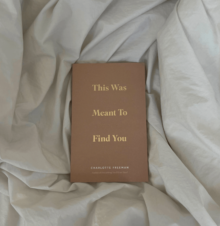"This Was Meant To Find You (When You Needed It Most)" Book - Wander Together Outfitters