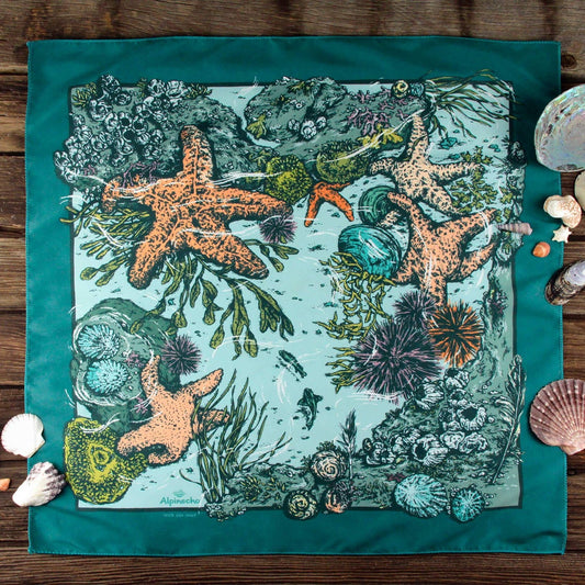 Tide Pool Quick - Dry Bandana - Wander Together Outfitters