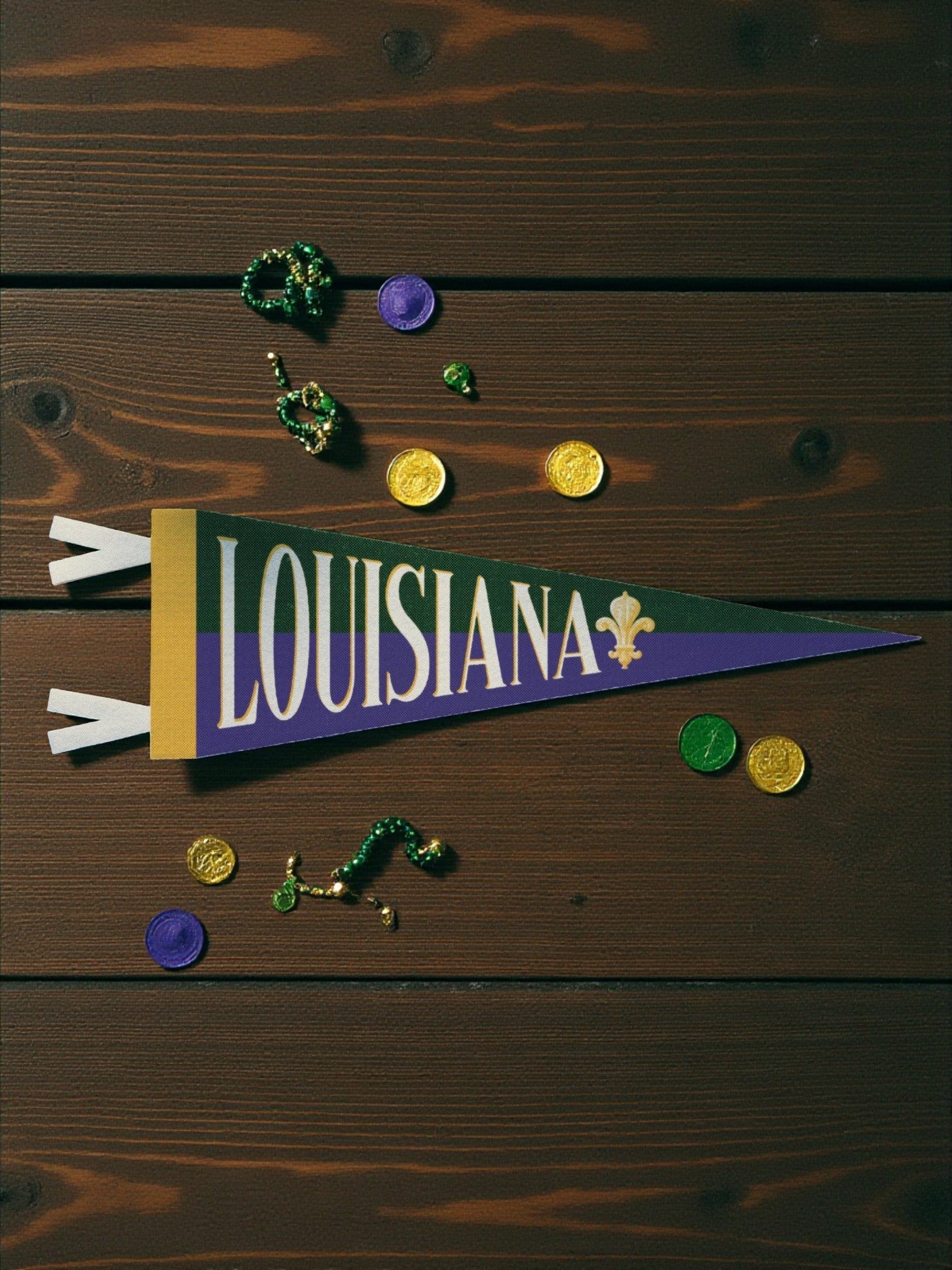 US States Felt Mini Pennant Collection (Various) - Wander Together Outfitters
