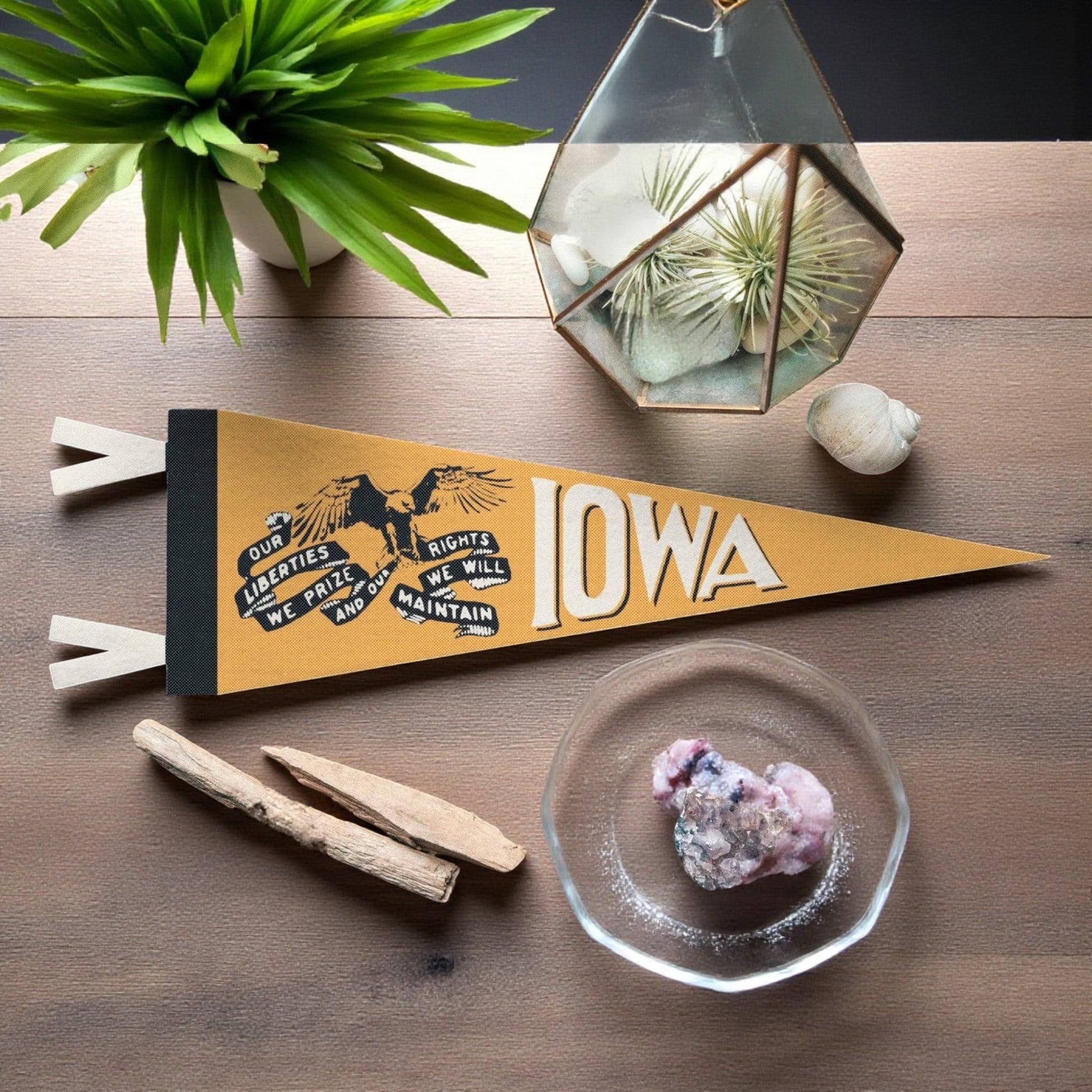 US States Felt Mini Pennant Collection  Iowa (Various) - Wander Together Outfitters