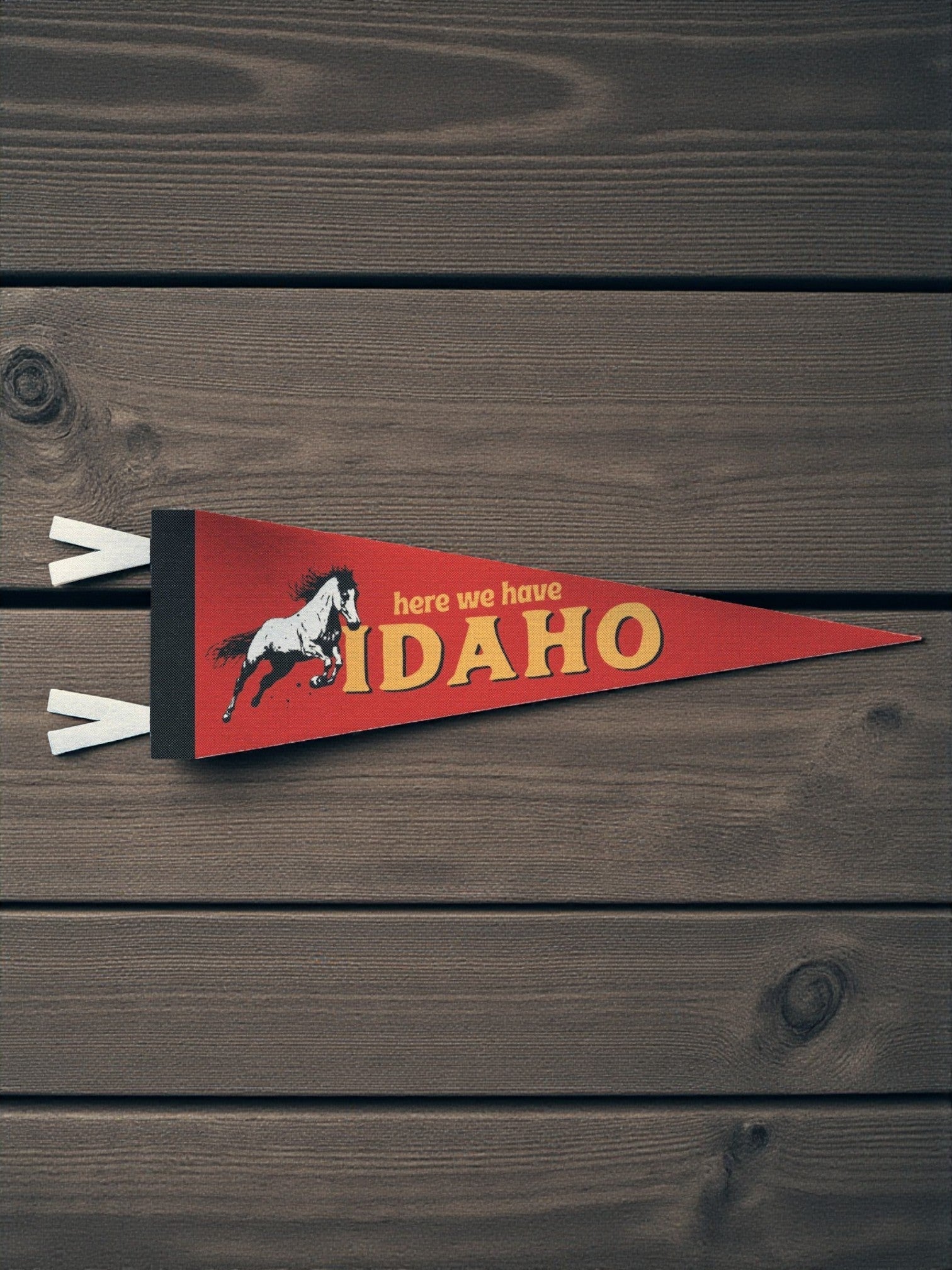 US States Felt Mini Pennant Collection (Various) - Wander Together Outfitters