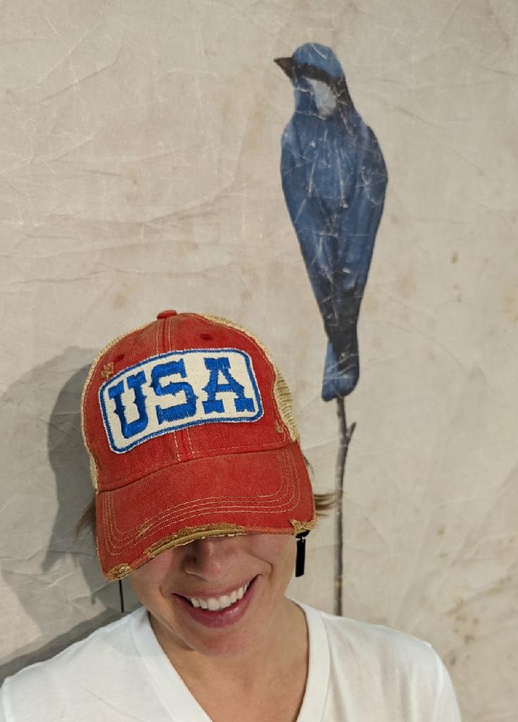 USA Embroidered Patch Hat (Various Colors) - Wander Together Outfitters