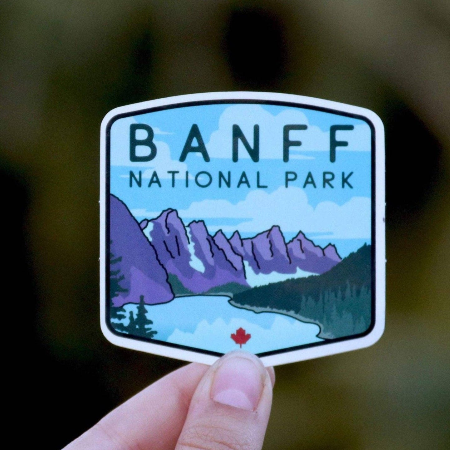 Vibrant National Park Vinyl Stickers Collection - Wander Together Outfitters