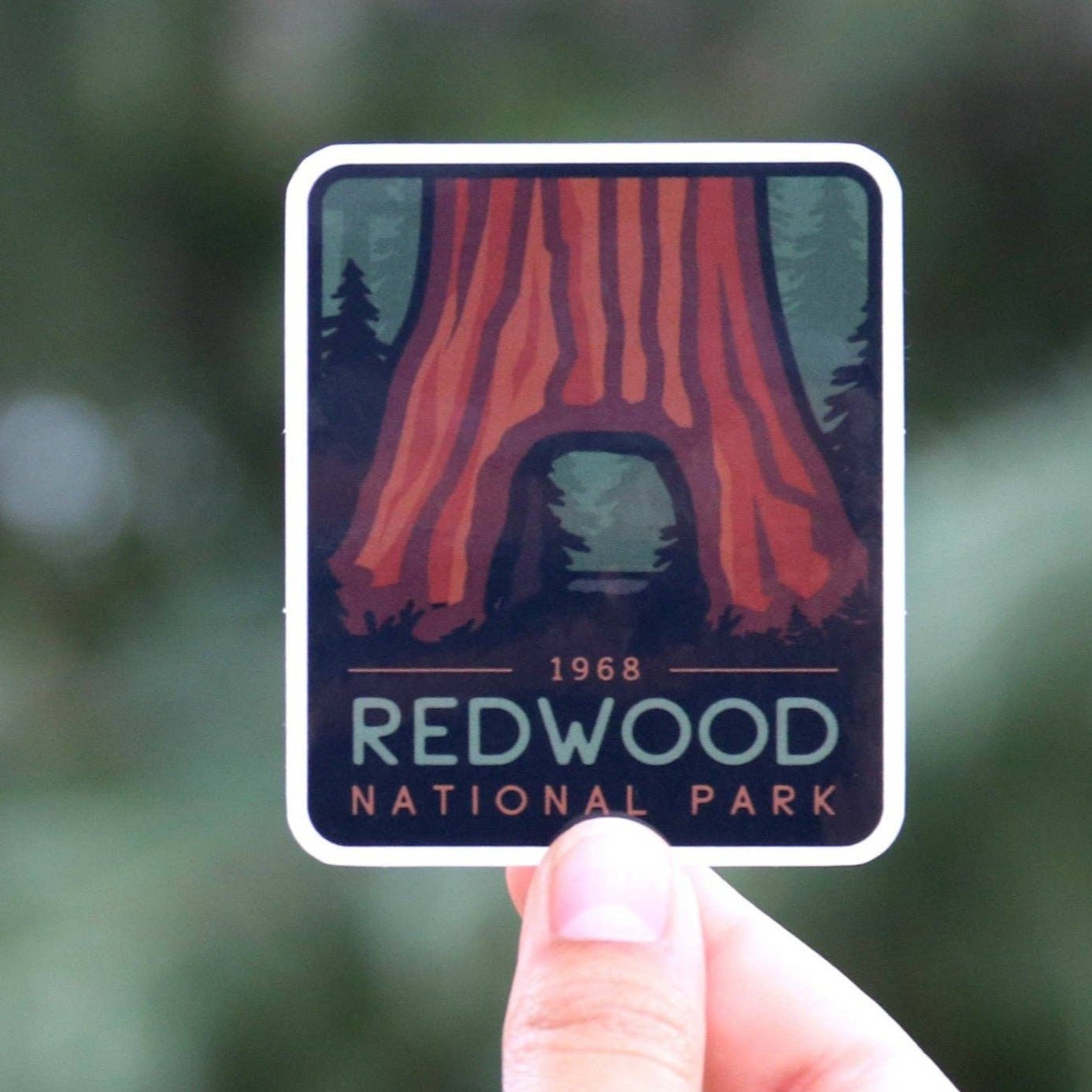 Vibrant National Park Vinyl Stickers Collection - Wander Together Outfitters