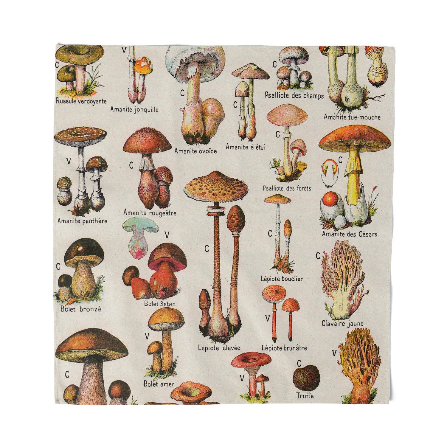 Vintage Mushroom Bandana - Wander Together Outfitters