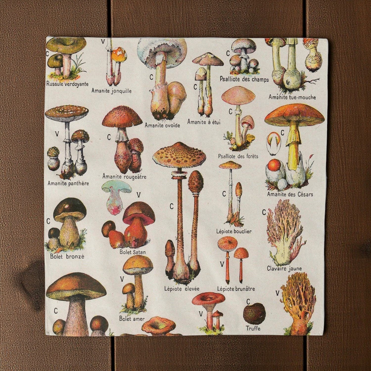 Vintage Mushroom Bandana (SALE) - Wander Together Outfitters